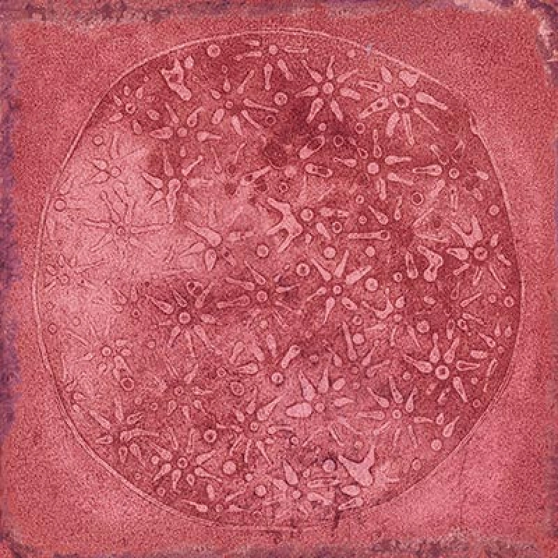faïence Luca Granate Brillant 20x20cm