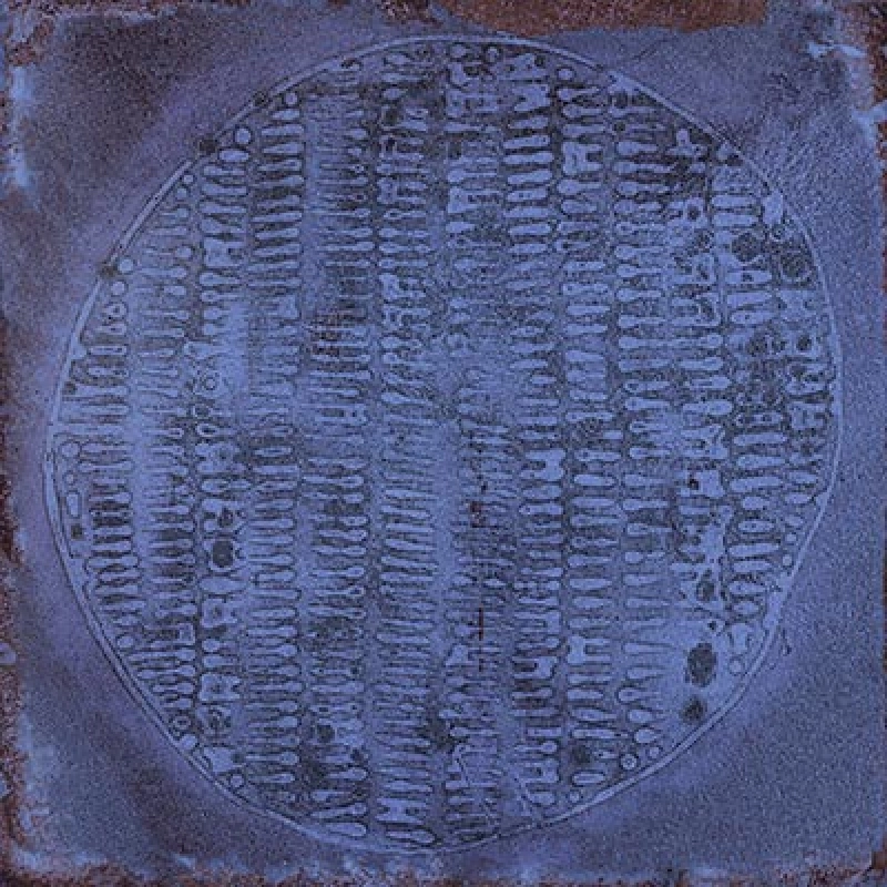 faïence Luca Marino Brillant 20x20cm
