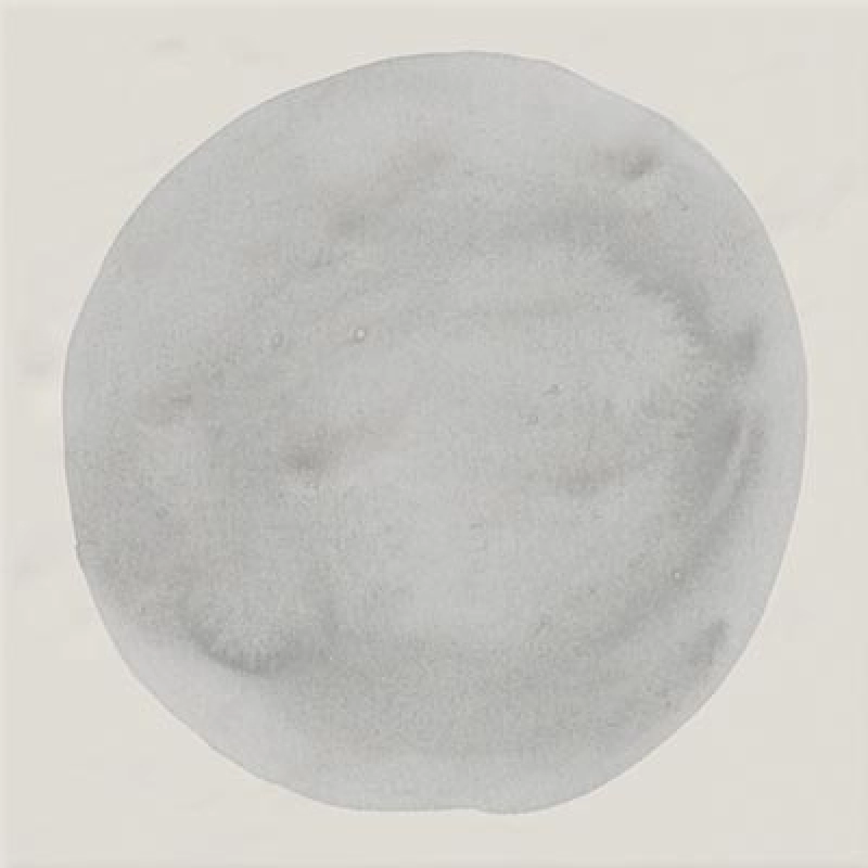 faïence Paola Hugo 20x20cm