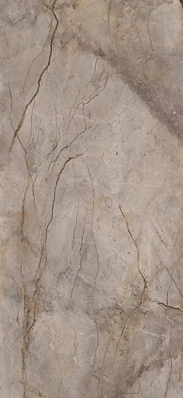 carrelage poli Wild Forest Grey