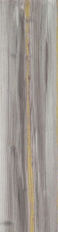 carrelage imitation bois Echo Gold