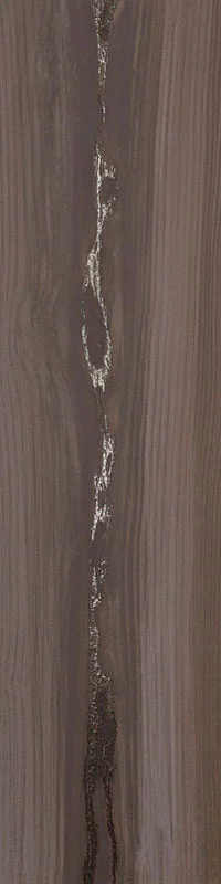 carrelage imitation bois Echo Silver