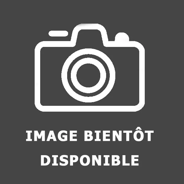 Cuvette blanche pour WC suspendu DREAM - abattant inclus - BL7501945