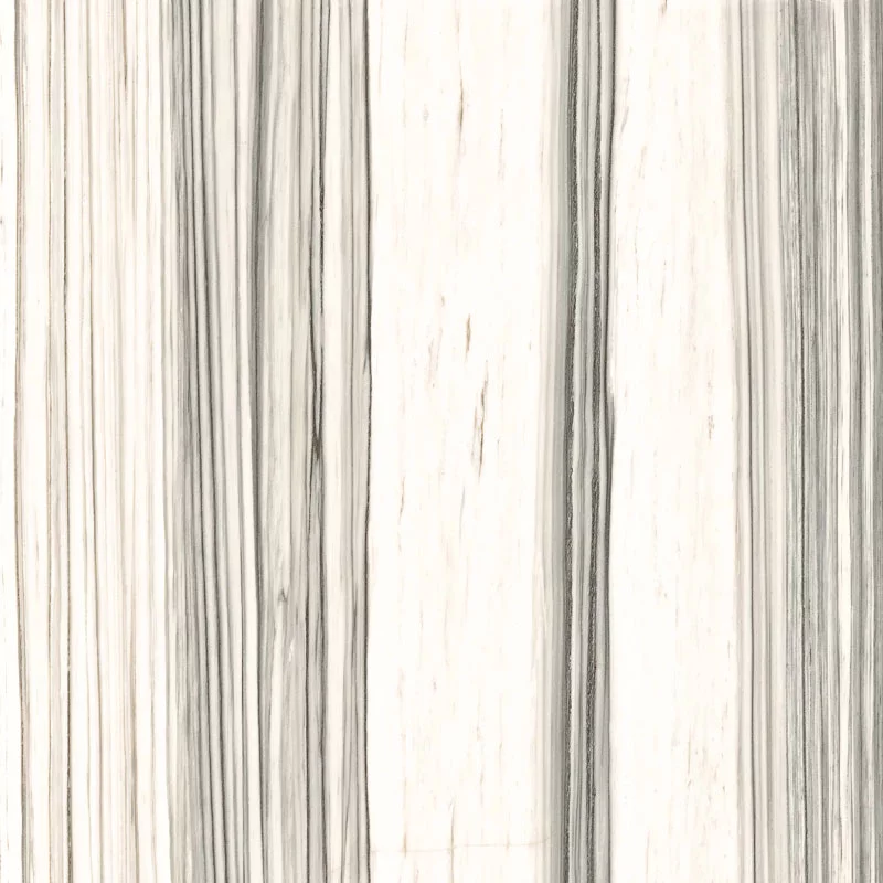 Carrelage poli Aesthetica teinté dans la masse 120x120cm - AE ZEB6 120 LP