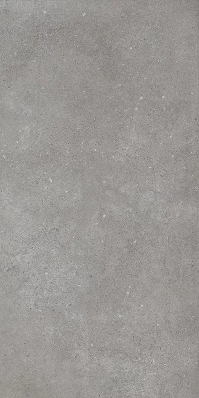 Carrelage Continental Dark Grey 61x122.2cm - R10