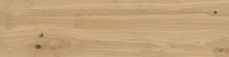 Carrelage Natura Frassino 122.2x20.2cm rectifié