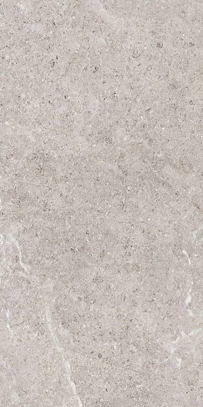 Carrelage Holystone Grey 61x122.2cm - R10