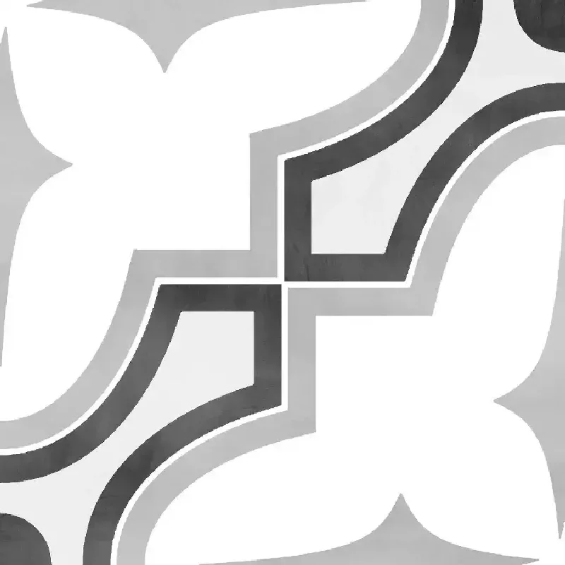 Carrelage aspect carreaux ciment BW TIE