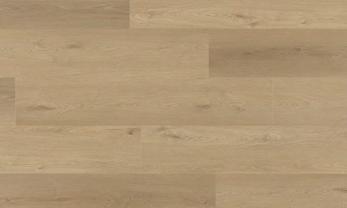 Vinyle Tigris Lion 123.5 x 23.2cm - TIG 232 IB-5761