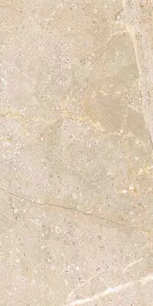 Carrelage poli Atenas