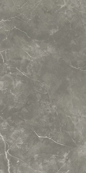 Carrelage Puccini Gris poli