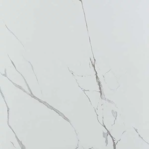 Carrelage poli Grayish