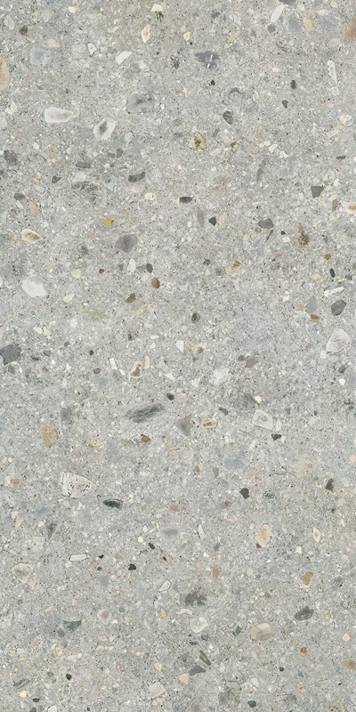 Carrelage Ceppo Di Gre multi 30x60cm - R10