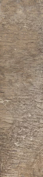 Carrelage imitation bois Oak Brown