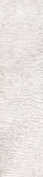 Carrelage imitation bois Oak White