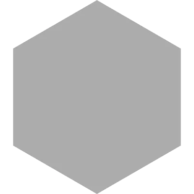 Basic Silver Hexagonal 25cm