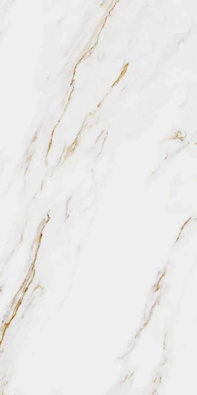 carrelage Royal Gold mat 60x120cm