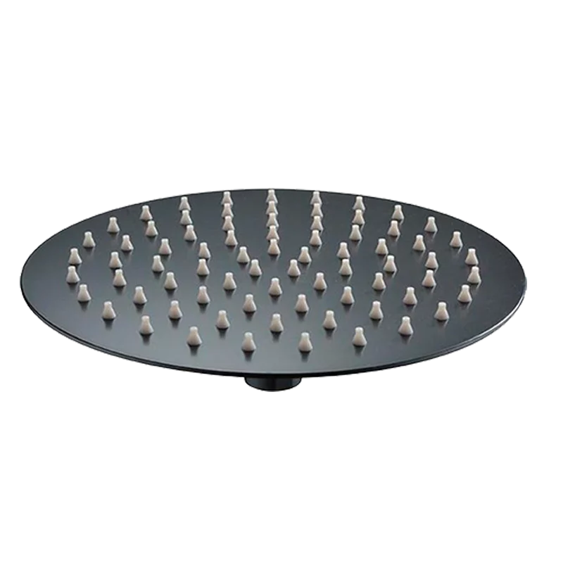 Pomme de douche RDN002/NG