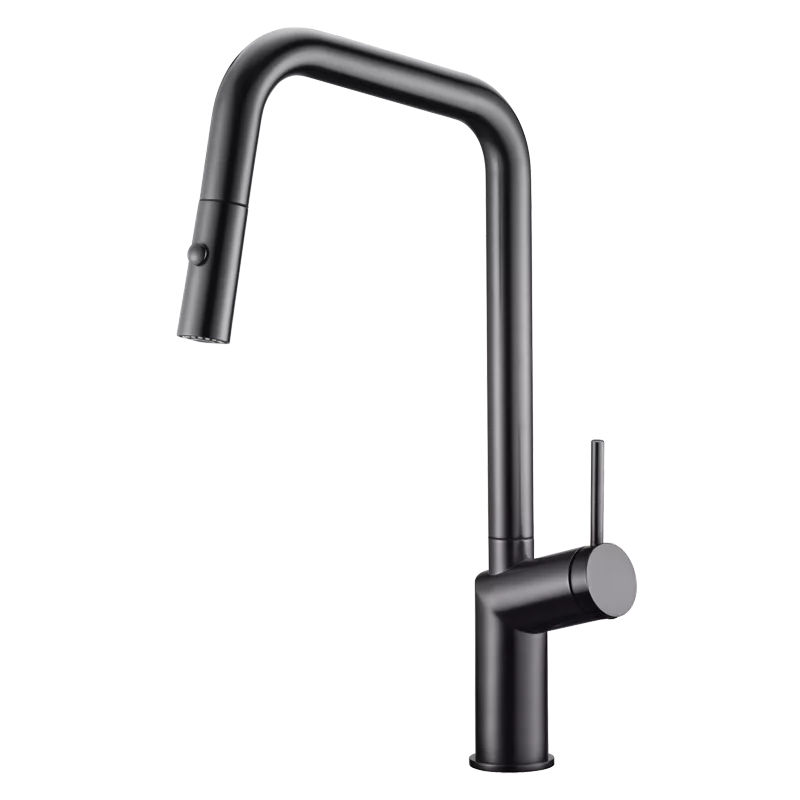 Robinet de cuisine Bonn Black Gun metal - GCE024/BGM