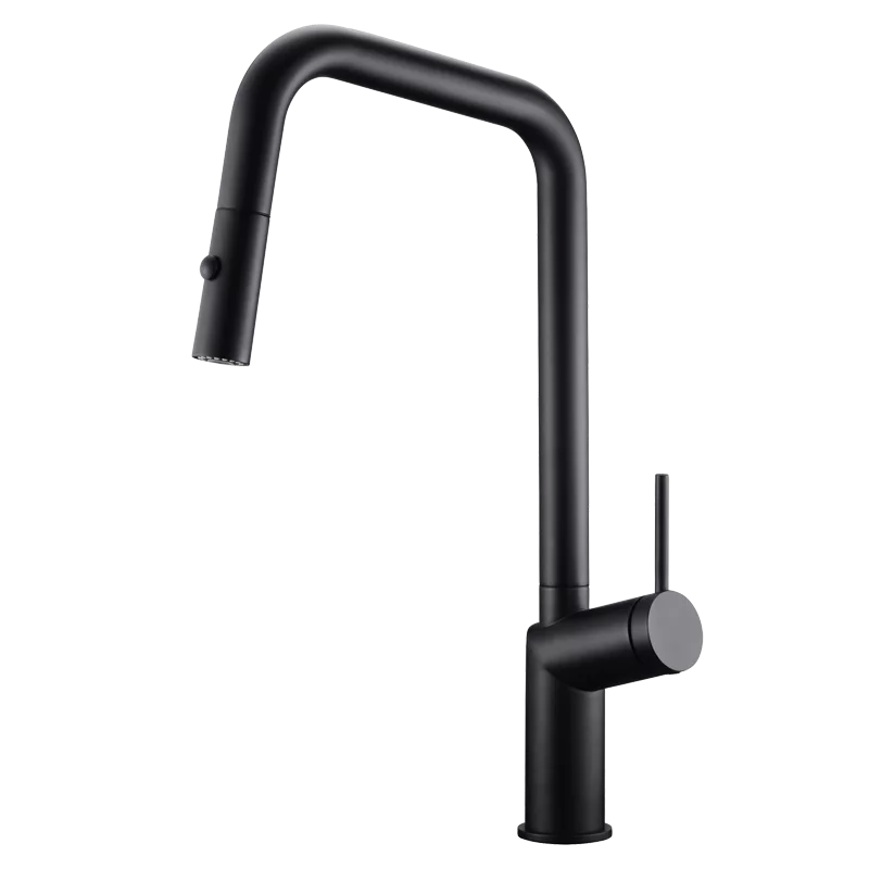 Robinet de cuisine Bonn Noir mat - GCE024/NG