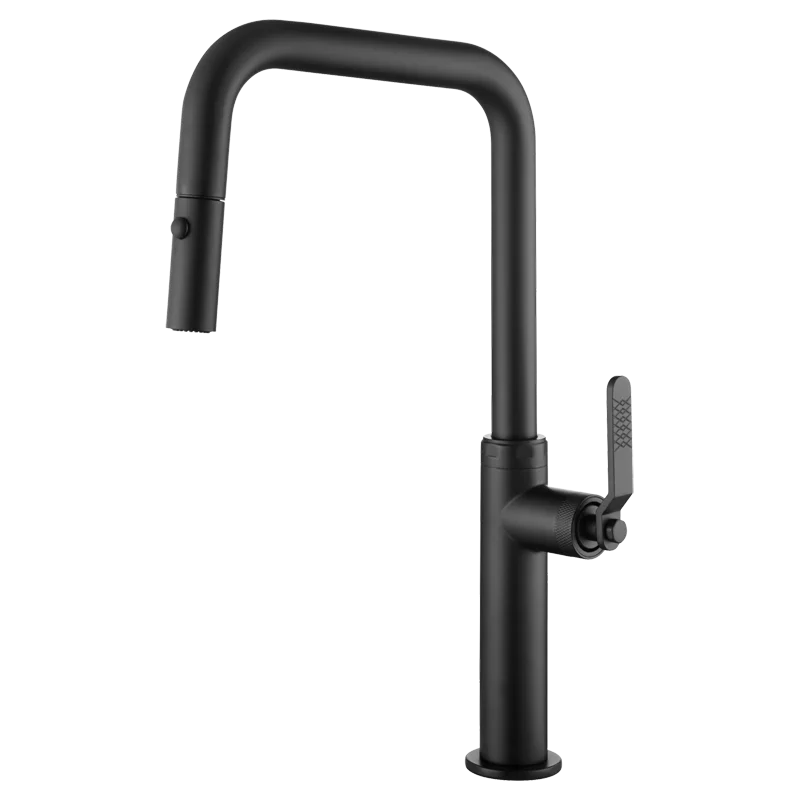 Mitigeur de cuisine NIZA Noir mat - GCE027/NG