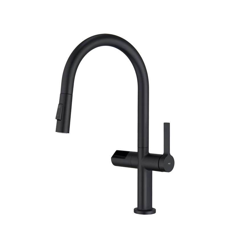 Mitigeur de cuisine TURIN Noir Mat - GCE021/NG