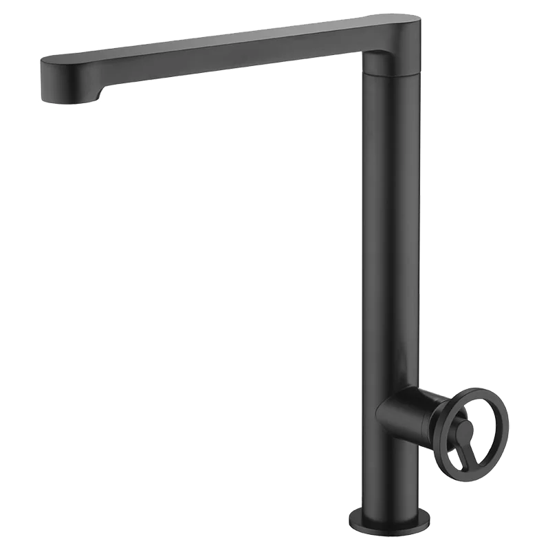 Mitigeur de cuisine OLIMPO Noir mat - GCC033/NG