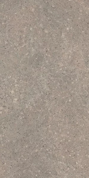 Carrelage terrasse 2cm Juliette Gris