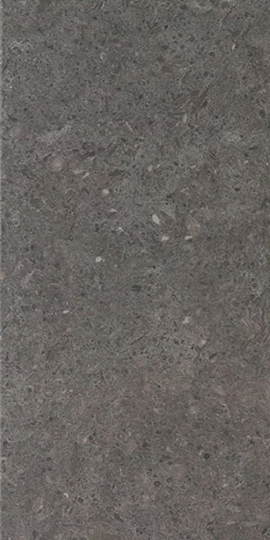 Carrelage terrasse 2cm Juliette Anthracite