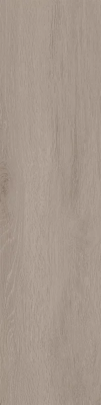 dalle 2cm Orinoco gris