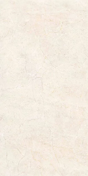 carrelage poli Liceo