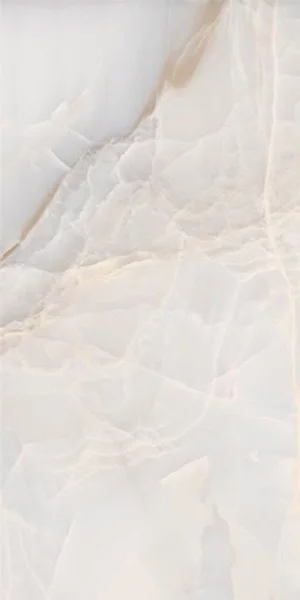 Carrelage poli Harvey Natural